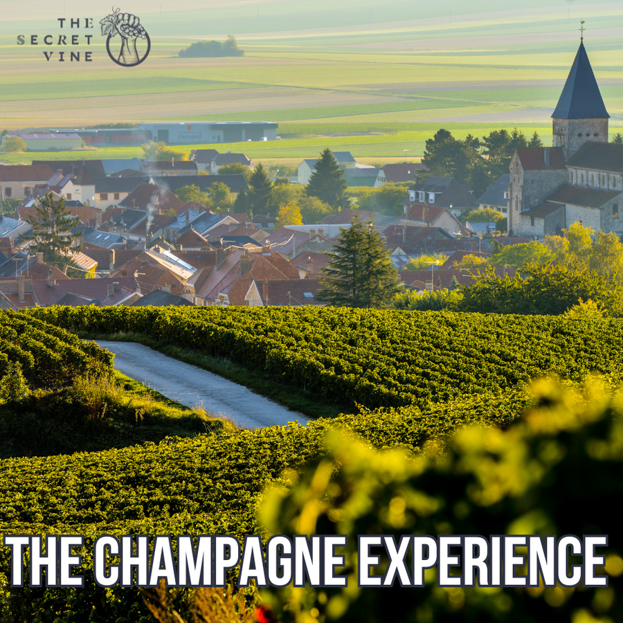 Champagne Experience